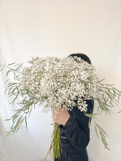 Baby's Breath